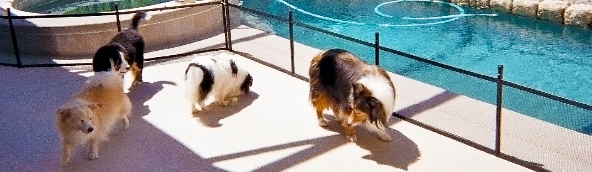 Pool Guard USA – Pet Pool Fences Banner Pool Guard USA - Pet Pool Fences Banner