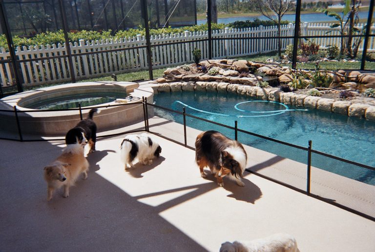 Pool Guard USA - Pool Fence for Dogs