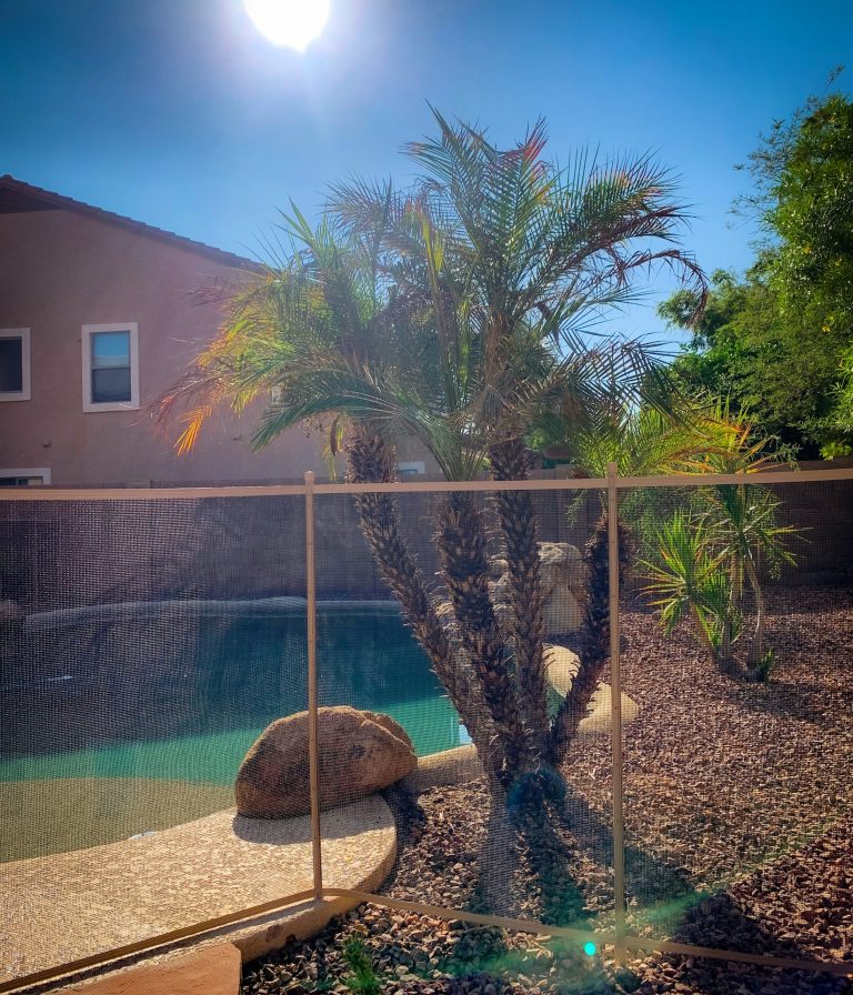 Pool fence in Scottsdale with secure design, enhancing the desert charm of a backyard pool