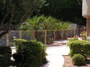 Garden area with lush greenery and palm trees enclosed by an Inland Empire pool fence.