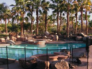 Pool fence in Orange County backyard oasis with tall palms