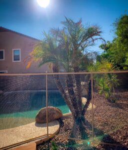 Gilbert pool fence securely enclosing a backyard pool with a touch of desert charm