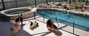 Reliable and stylish pool fence installation in Riverside backyard