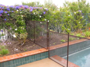 pool-fence-danville-flowering-hedge-safety-fence