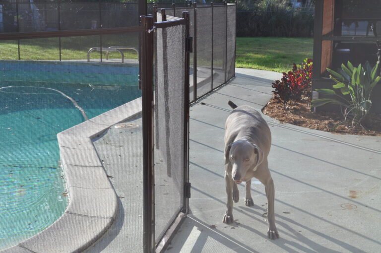 Pool-Fence-for-Dogs-Pool-Barrier-for-Pets-Safety