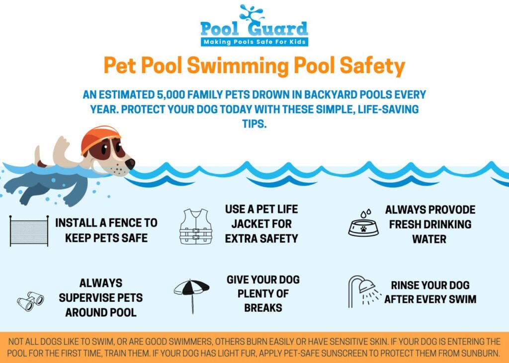 pet pool safety in swimming pools in phoenix