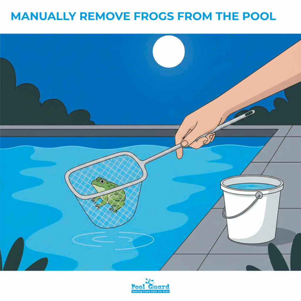 Manually Remove Frogs Already in Pool