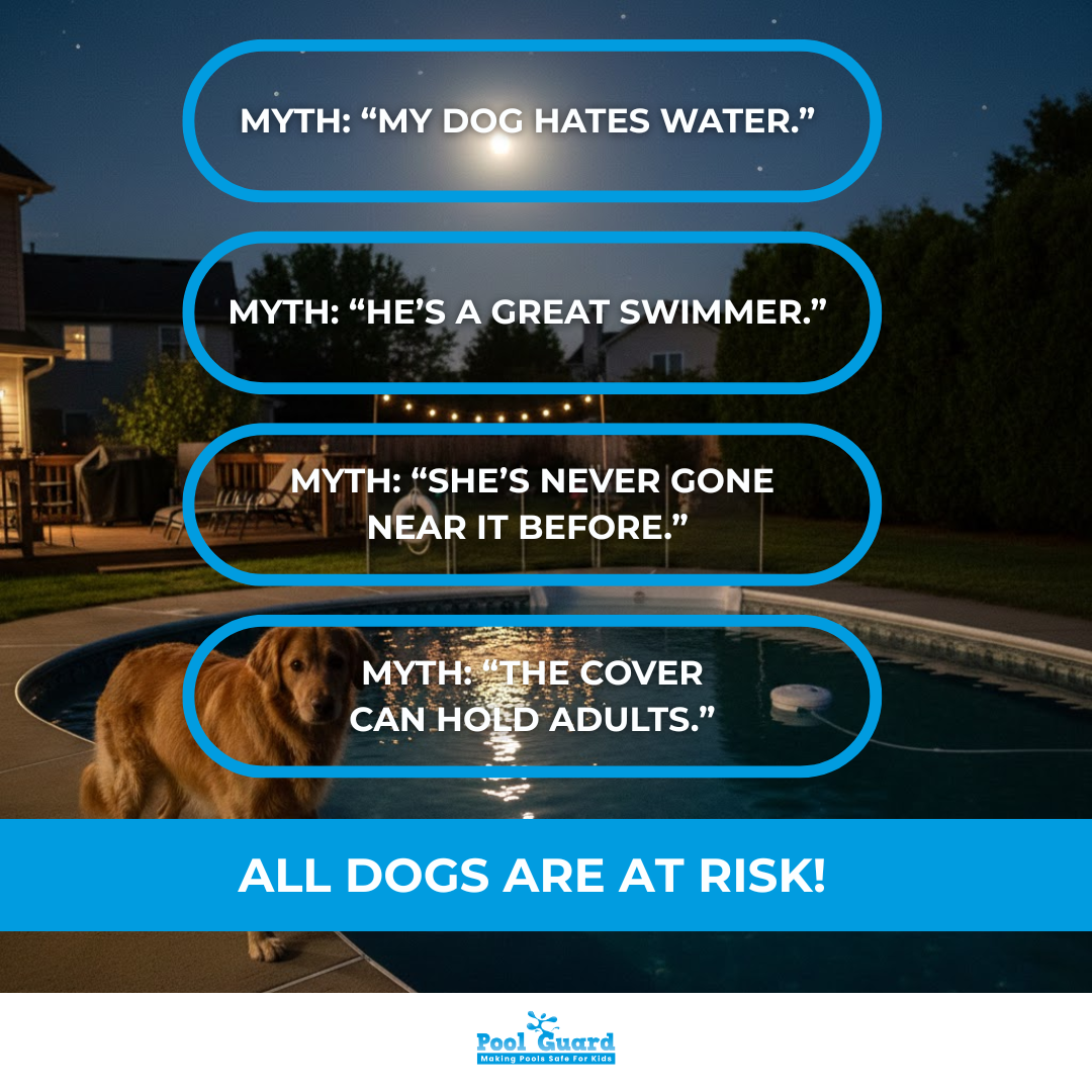 How To Keep Dog Out of Pool - Myths