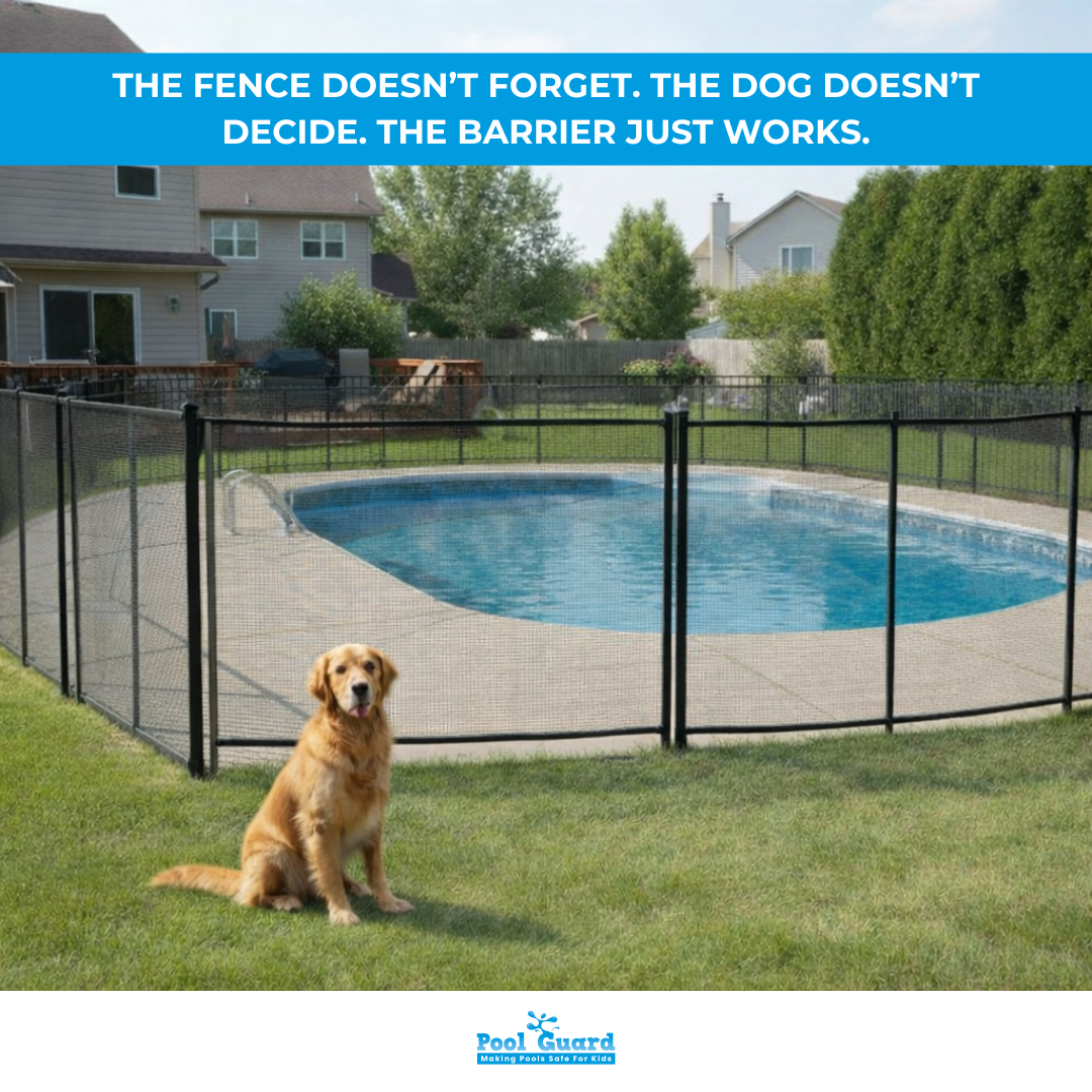 How To Keep Dog Out of Pool - Pool Fence Barrier