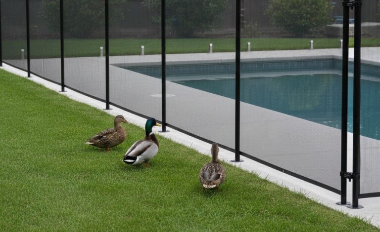 How To Keep Ducks Out of Pool