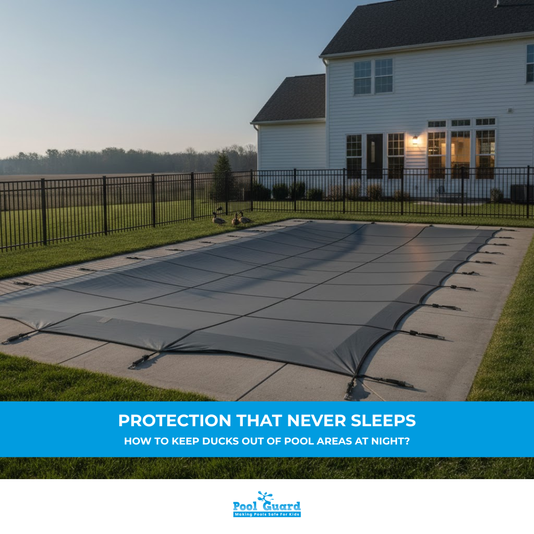 How to Keep Ducks Out of Pool at Night