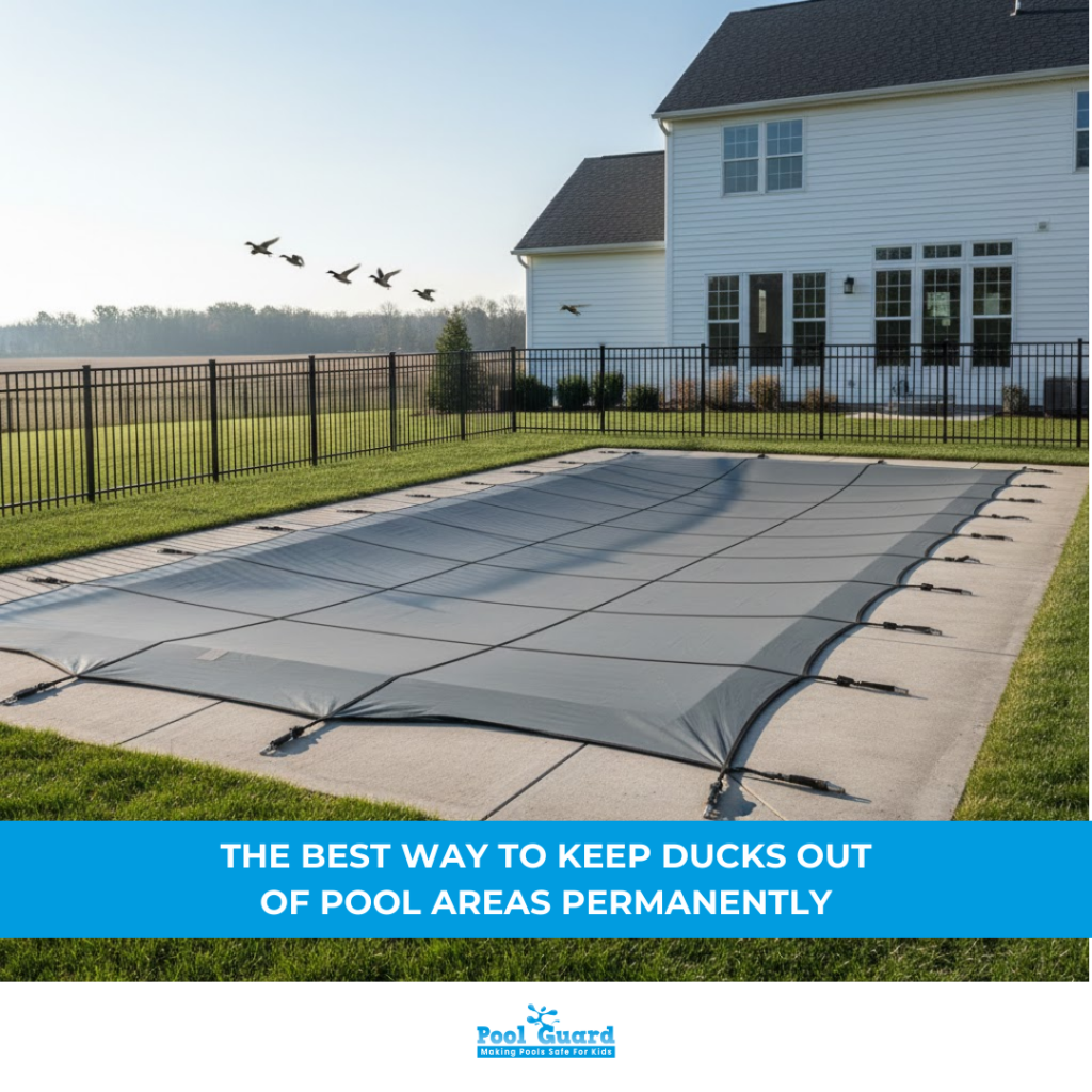 Pool Covers as a Landing Deterrent