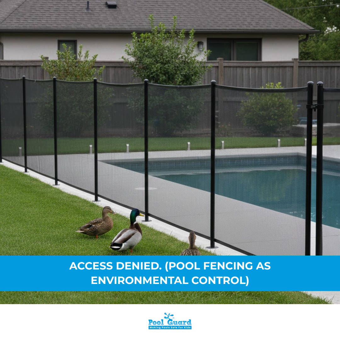 Pool Fencing as Environmental Control for Keeping Ducks Out of Pool