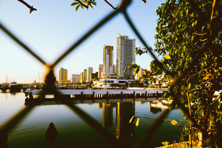 Pool Statistitcs Tampa