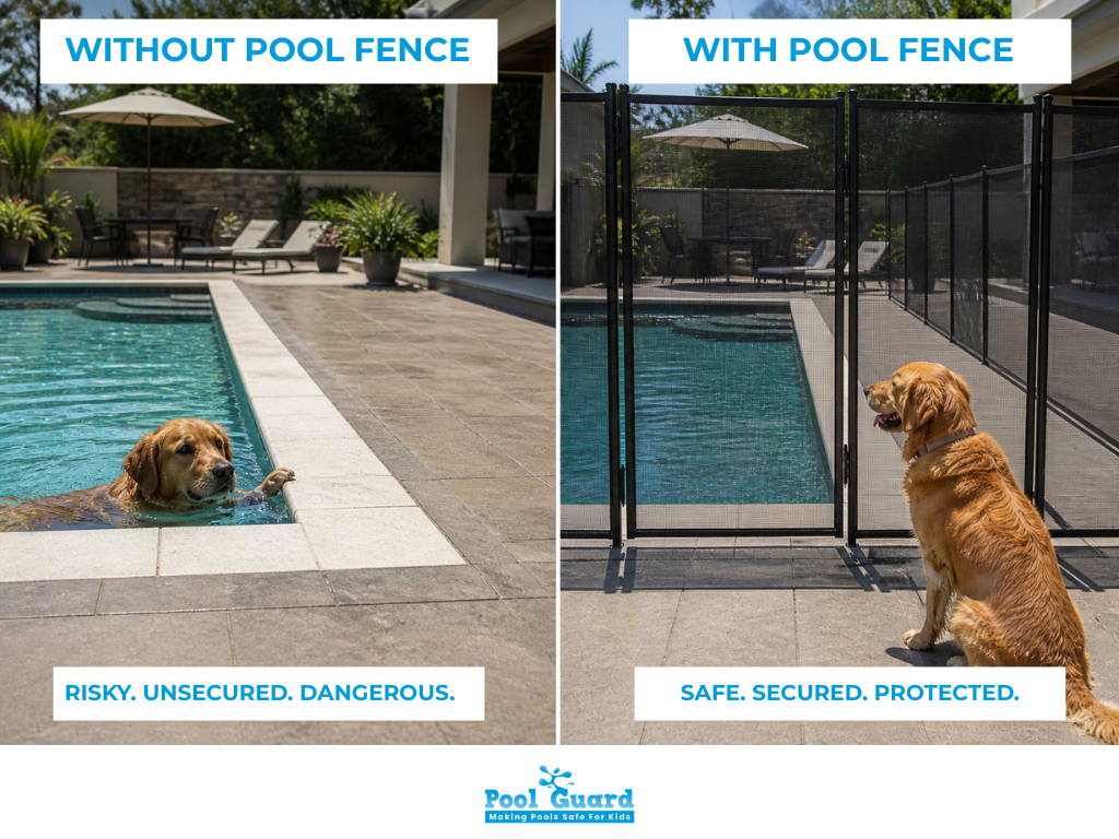 Why a Pet Pool Safety Fence Is One of the Best Solutions