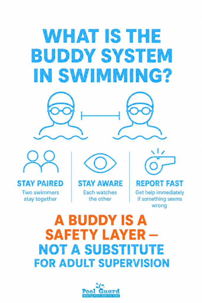What Is the Buddy System in Swimming - Infographic